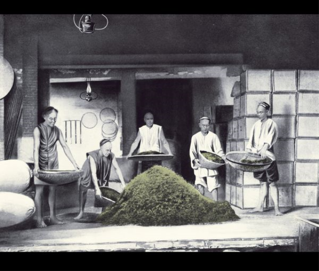Tea roasting process – tea sifting 