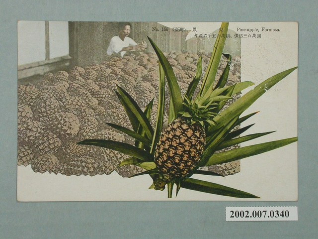 舌尖上的臺灣：臺灣鳳梨的華麗轉身